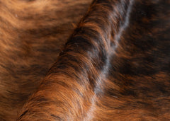 Dark Brindle Cowhide Rug (Size: 260 x 240 CM)