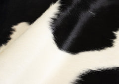 Black And White Cowhide Rug (Size: 280 x 230 CM)