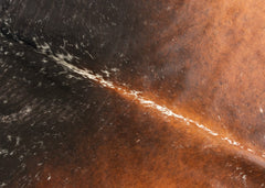 Salt Pepper Tri-Color Cowhide Rug (Size: 250 x 200 CM)