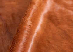 Hereford Brown And White Cowhide Rug (Size: 250 x 220 CM)