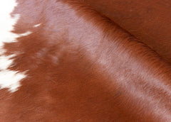 Hereford Brown And White Cowhide Rug (Size: 240 x 210 CM)