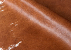 Hereford Brown And White Cowhide Rug (Size: 240 x 210 CM)