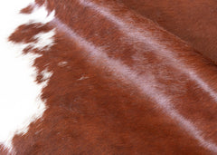 Hereford Brown And White Cowhide Rug (Size: 240 x 230 CM)