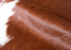 Hereford Brown And White Cowhide Rug (Size: 230 x 210 CM)
