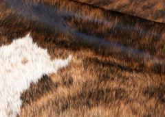 Dark White Spine Belly Brindle Cowhide Rug (Size: 250 x 220 CM)