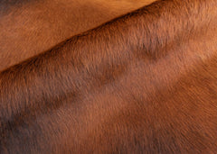 Reddish Cowhide Rug (Size: 230 x 190 CM)
