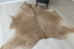 (Rare) Gris Tan Cowhide Rug (Size: 260 x 210 CM) CHR2402