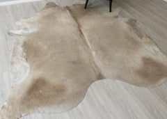 (Rare) Champagne Cowhide Rug (Size: 260 X 230 CM) CHR2410