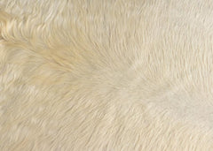 cowhide rug