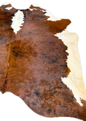 Medium White Spine Belly Brindle Cowhide Rug (Size: 260 X 220 CM) CHR1929