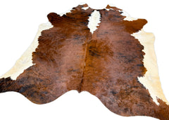 Medium White Spine Belly Brindle Cowhide Rug (Size: 260 X 220 CM) CHR1929