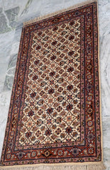 Oriental Agra Hand-Knotted Wool Small Hallway Runner Rug