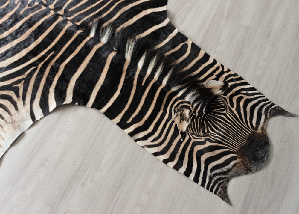 zebra skin rug