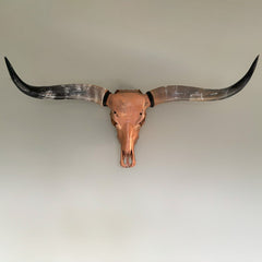 Authentic Bronze Longhorn Skull