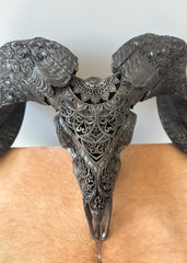 Authentic Hand Carved Ram Skull