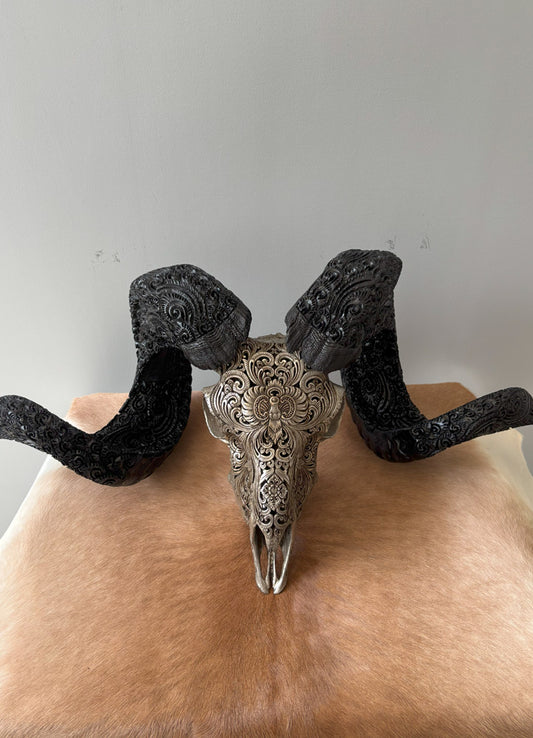 Authentic Hand Carved Ram Skull