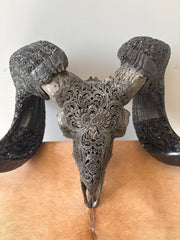 Authentic Hand Carved Ram Skull