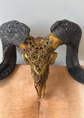 Authentic Hand Carved Ram Skull