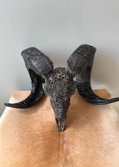 Authentic Hand Carved Ram Skull