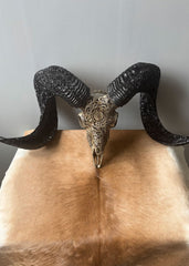 Authentic Hand Carved Ram Skull