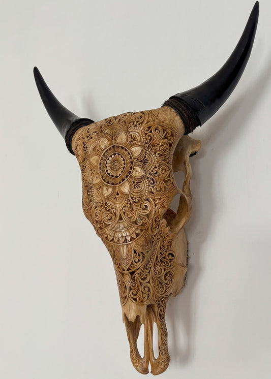 Authentic Cow Hand Carved Skull