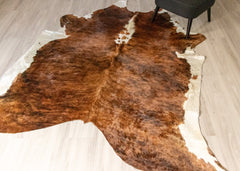 Medium White Spine Belly Brindle Cowhide Rug (Size: 240 X 210 CM) CHR1904