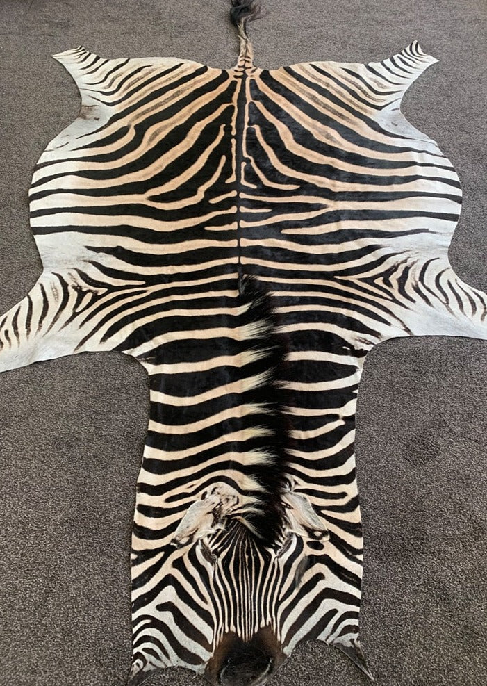 Zebra Skin Rug On Floor