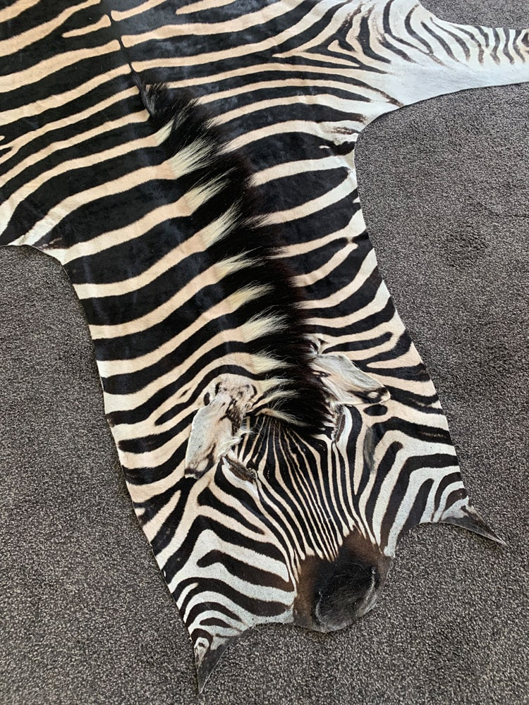 Zebra Hide Rug