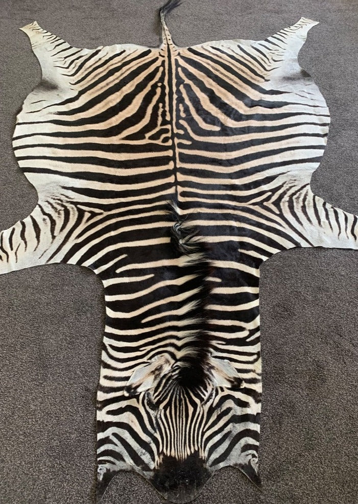 Zebra Skin Rug On Floor