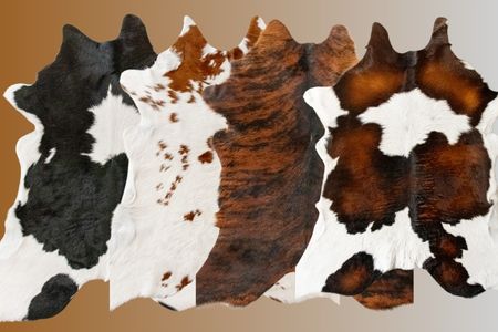 small calfskin hides in colours