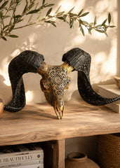 Authentic Ram Skull With Horn Hand Carved