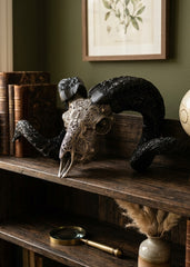 Authentic Ram Skull With Horn Hand Carved