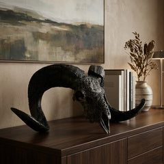 Authentic Ram Skull With Horn Hand Carved