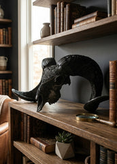 Authentic Ram Skull With Horn Hand Carved