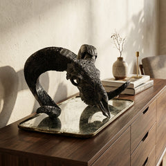 Authentic Ram Skull With Horn Hand Carved