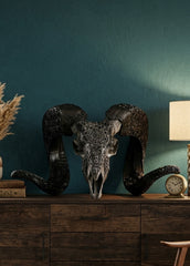 Authentic Ram Skull With Horn Hand Carved