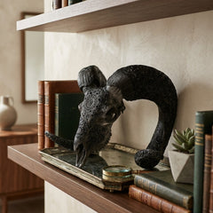 Authentic Ram Skull With Horn Hand Carved