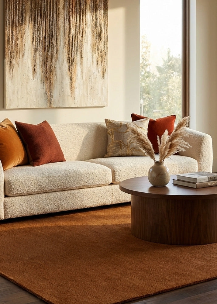 Brown wool rug in living room