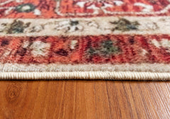 Multi-Colour Traditional Area Rug