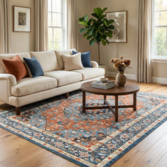 Red And Blue Vintage Area Rug