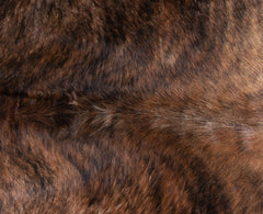 Exotic Brindle Cowhide Rug