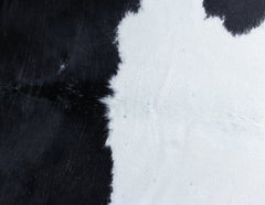 Black And White Cowhide Rug