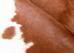 Hereford Brown And White Cowhide Rug (Size: 260 x 230 CM)