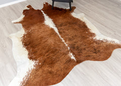 Medium White Spine Belly Brindle Cowhide Rug (Size: 240 x 210 CM)